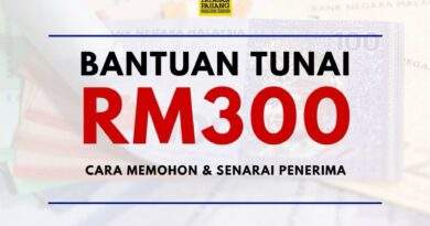 Bantuan Tunai RM250 Dinaikkan Kepada RM300. Ini Cara Memohon Dan Senarai Penerima