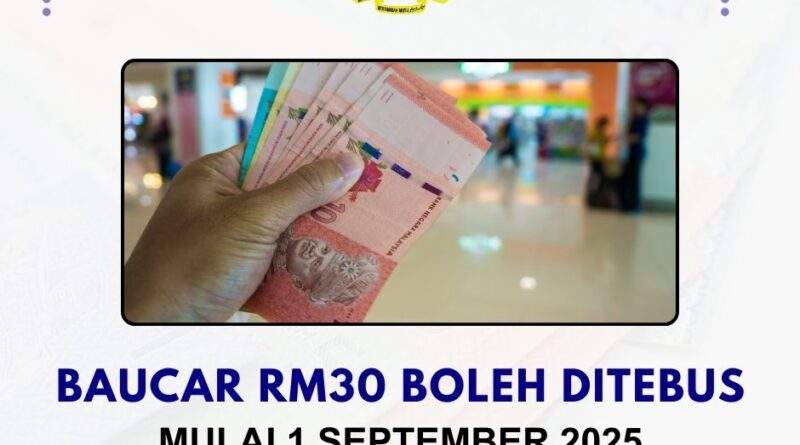 Baucar RM30