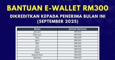 e-wallet
