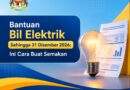 Bantuan Bil Elektrik Sehingga 31 Disember 2026: Ini Cara Buat Semakan Bantuan Bil Elektrik